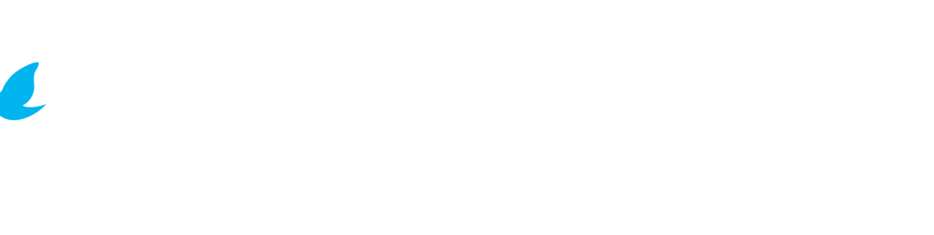 배경 이미지