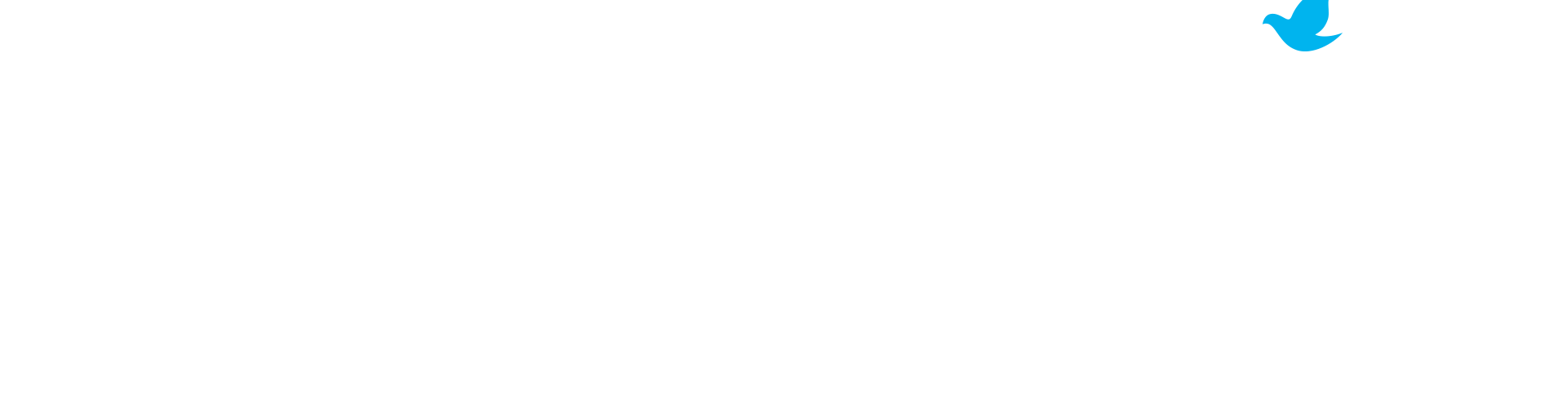 배경 이미지